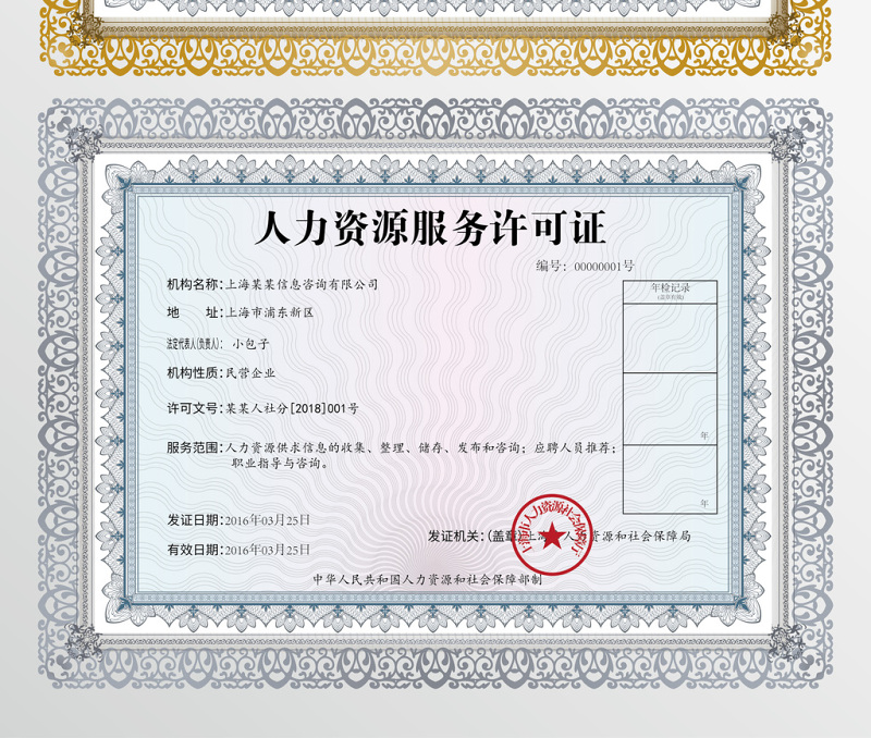 辽宁拓略人力资源服务 专业赋能，实时更新的人力资源解决方案