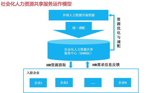人力资源共享服务中心 优化人力资源服务的新模式